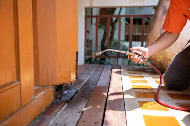 Reliable pest control service in Wayne County OH