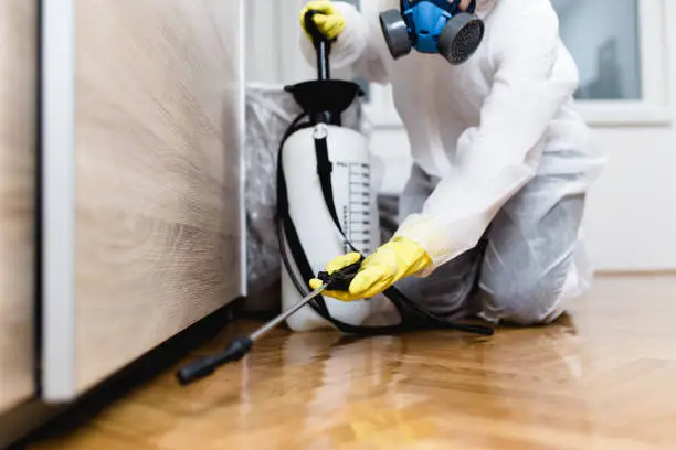Reliable pest control service in Summit County OH