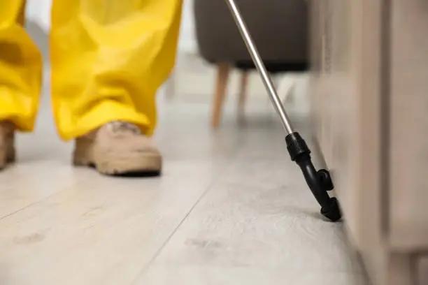 Reliable pest control service in Summit County OH